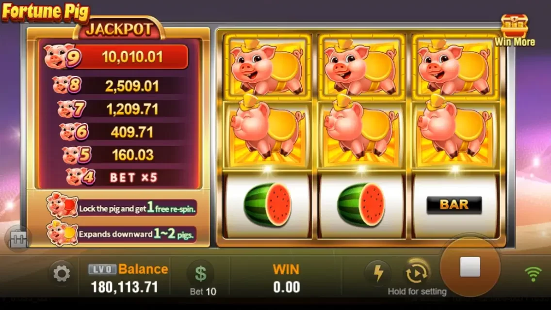 Fortune Pig Captura de tela do jogo 2