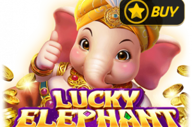 Lucky Elephant X-Huge™