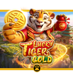 Lucky Tiger Gold